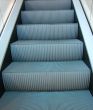 Steps of the escalator