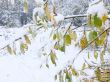  first snow