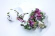 Cabbage under the snow