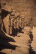 Ram sphinxes, Karnak Temple