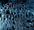 Drops and bubbles
