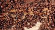 Coffee beans 02