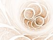 Fractal Abstract Background - Circular design