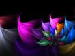Fractal Abstract Background - Petal Border