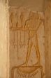 Egypt Series (Hatshepsut Hieroglyph)