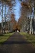 Path to Castle