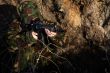 Soldier with Camouflage (hiding)