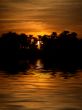 Sunset with Palm Trees