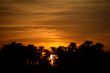 Sunset with Palm Trees