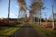 Path to Castle