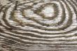 Wood texture