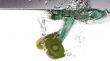 Fruit splash