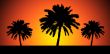 Sunset trees