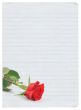 blank love letter