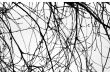 Abstract tree branch silhoutte