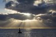 Rays of Light