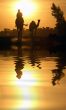 Camel and Reflection