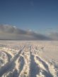 the skidmarks of a car in the snow