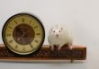 Rat and clock