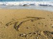 arrow on wet sea sand