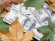 American dollars and autumn  leaves
