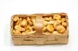 Basket of Chanterelles