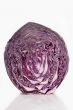 Half of a Red Cabbage