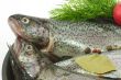 Poached Trout