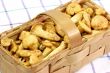 Wild Mushrooms