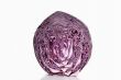 Red Cabbage