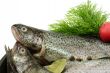 Freshwater Fish