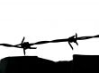 Barbed Wire