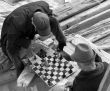 Chess players 4
