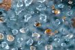 Droplets and part of leafs caught in spider web