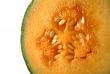 Rockmelon 2