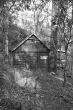 Old Log Cottage 1