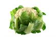 Fresh Cauliflower 1