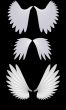 Angel wings