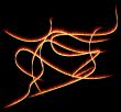 Magic symbol