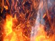 Hot languages of fire.