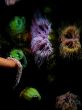 Neon Sea Anemones