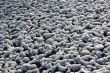Snow on ground