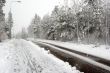 Blizzard