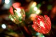 Twinkle Lights