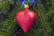 Christmas Decoration