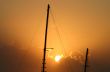 Masts In The Sun 3