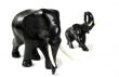 Black Elephants 1
