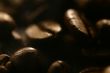 Grains of coffee