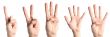 Fingers