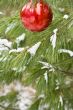 chirstmas bulb